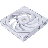 Lian Li UNI FAN TL 140 ventilateur de boîtier RGB  Blanc, 140 x 144 x 28 mm, PWM