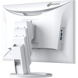 EIZO EV2480-WT 24" Moniteur Blanc, 1x DisplayPort, 1x HDMI, 1x USB-C, 4x USB-A