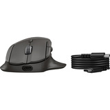 HP 785M Ultra-Fast-Scroll, Souris Noir, Sans fil, Bluetooth, 6000 dpi, USB-C