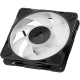 ARCTIC P12 Pro A-RGB ventilateur de boîtier Noir, 120 x 120 x 25 mm, PWM, Ventilateur, 12 cm, 131 m³/h, Noir, Blanc