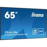 iiyama ProLite LH6541UHS-B1AG, Affichage public Noir, HDMI, USB, LAN, Audio