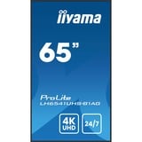 iiyama ProLite LH6541UHS-B1AG, Affichage public Noir, HDMI, USB, LAN, Audio