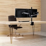 Ergotron Bras pour moniteur LX Dual Stacking avec pied haut, Support de moniteur Aluminium