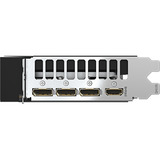 GIGABYTE GeForce RTX 5060 Ti AORUS ELITE 16G, Carte graphique 3x DisplayPort, 1x HDMI