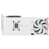 ASUS 90YV0LV5-M0NA00, Carte graphique Blanc