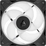 ARCTIC ARCTIC P14 Pro Reverse A-RGB ventilateurs de boîtier Noir, 3 pièces, 140 x 140 x 30 mm, PWM, 3 pièces, 140 x 140 x 30 mm, PWM