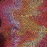 Cricut Motifs de feuilles de transfert Infusible Ink, Guépard arc-en-ciel, Matériel d'impression Multicolore, Multicolore, 30 x 30 cm