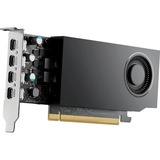 NVIDIA® RTX A1000 8 Go, Carte graphique 4x Mini DisplayPort