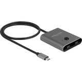 DeLOCK USB Type-C 2 to 1 bidirectional, Switch USB Gris