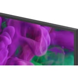 LG QNED87 evo AI 65" 4K Ultra HD TV Noir, 4x HDMI, 2x USB, Optique, Bluetooth, LAN, WLAN, CI+, HDR10, Dolby Vision