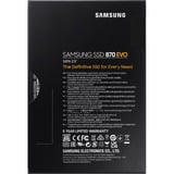 Samsung 870 EVO, 250 Go SSD MZ-77E250B/EU, SATA/600