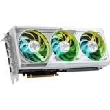ASRock Intel® Arc B580 Steel Legend 12Go OC, Carte graphique 1x HDMI, 3x DisplayPort