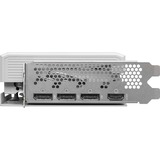 ASRock Intel® Arc B580 Steel Legend 12Go OC, Carte graphique 1x HDMI, 3x DisplayPort