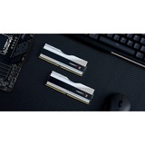 G.Skill Trident Z5 RGB 64 Go DDR5-6000 (2x 32 Go) mémoire vive Argent, F5-6000J3040G32GX2-TZ5RS, XMP 3.0