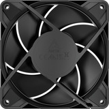 ARCTIC P12 Pro LN ventilateur de boîtier Noir, 120 x 120 x 25 mm, PWM
