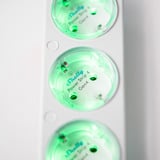 Shelly Power Strip Gen4 multiprise à 4 prises Blanc, 4x prises, Wi-Fi, Bluetooth, Zigbee