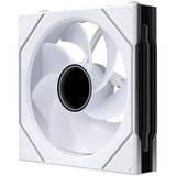 Lian Li UNI FAN SL-INF FLEX ventilateurs de boîtier RGB  Blanc, 3 pièces, 120 x 124 x 28 mm, PWM