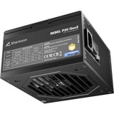 Sharkoon Rebel P20 Gen2 1000 alimentation modulaire 1000 watt Noir, 1x 12V-2x6, 3x PCIe