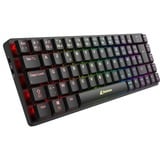 Sharkoon PureWriter W65 RGB clavier mécanique Noir, Layout BE (AZERTY), Kailh Choc V2 Low Profile Rouge, 65%