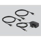 DeLOCK Switch USB 2.0 4 PC > 4 appareils 
