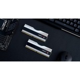 G.Skill 64 Go DDR5-6400 (2x 32 Go) mémoire vive Argent, F5-6400J3239G32GX2-TZ5RS, XMP 3.0