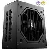 Sharkoon Rebel P20 alimentation modulaire 750 watt Noir, 1x 12V-2x6, 4x PCIe