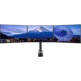 iiyama DS1003C-B1 Bras triple pour moniteur, Support de moniteur Noir, Pince, 30 kg, 25,4 cm (10"), 68,6 cm (27"), 100 x 100 mm, Noir