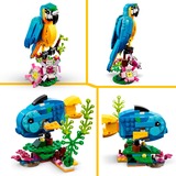 LEGO Créateur 3-en-1 - Perroquet exotique, Jouets de construction 