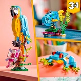 LEGO Créateur 3-en-1 - Perroquet exotique, Jouets de construction 