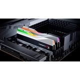 G.Skill Trident Z5 RGB 32 Go DDR5-6000 (2x 16 Go) mémoire vive Argent, F5-6000J3636F16GX2-TZ5RS, XMP 3.0