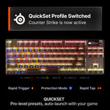 SteelSeries RGB clavier gaming mécanique Gris, Layout US (QWERTY), SteelSeries OmniPoint 3.0, 80% (TKL)