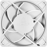 ARCTIC P12 Pro PST ventilateur de boîtier Blanc, 120 x 120 x 25 mm, PWM