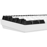 Sharkoon SKILLER SGK50 S3, clavier gaming Blanc, Layout États-Unis, Gateron Yellow, RGB LED, Hot-swappable, 75%.