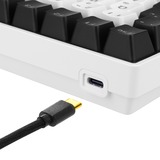 Sharkoon SKILLER SGK50 S3, clavier gaming Blanc, Layout États-Unis, Gateron Yellow, RGB LED, Hot-swappable, 75%.