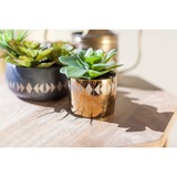 Cricut Boîte à matériaux, Bundle 