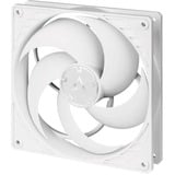 ARCTIC P14 PWM PST ventilateur de boîtier Blanc, 140 x 140 x 27 mm, Ventilateur, 14 cm, 200 tr/min, 1700 tr/min, 0,3 sone, 123,69 m³/h