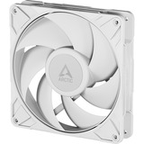 ARCTIC P14 Pro PST ventilateur de boîtier RGB  Blanc, 140 x 140 x 27 mm, PWM, Ventilateur, 14 cm, 400 tr/min, 2500 tr/min, 186 m³/h, Blanc