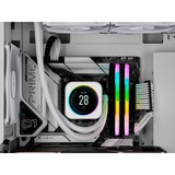 Corsair Vengeance RGB 32 Go DDR5-6400 (2x 16 Go) mémoire vive Blanc, CMH32GX5M2B6400C36W, XMP 3.0