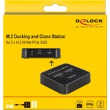 DeLOCK M.2 Docking Station pour 2x M.2 NVMe PCIe, Station d'accueil Noir