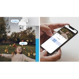 Foscam Foscam SD8P, 4K/8MP Dual-Band WiFi PTZ b, Module CA Blanc
