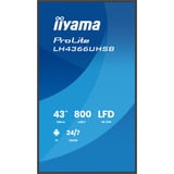iiyama ProLite LH4366UHSB-B1AG, Affichage public Noir, HDMI, USB-C, LAN, Wi-Fi, Audio, Android