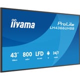 iiyama ProLite LH4366UHSB-B1AG, Affichage public Noir, HDMI, USB-C, LAN, Wi-Fi, Audio, Android