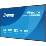 iiyama ProLite LH4366UHSB-B1AG, Affichage public Noir, HDMI, USB-C, LAN, Wi-Fi, Audio, Android