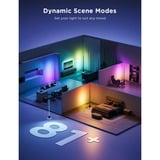 Govee RGBICWW Lampadaire Pro, Lampe Noir, 2.4GHz Wi-Fi + Bluetooth