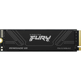 Kingston Renegade G5 1 To SSD Noir, SFYR2S/1T0, PCIe 5.0 x4, NVMe, M.2 2280