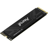 Kingston Renegade G5 1 To SSD Noir, SFYR2S/1T0, PCIe 5.0 x4, NVMe, M.2 2280