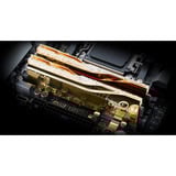 G.Skill 48 Go DDR5-6000 Kit, Mémoire vive Or, F5-6000J2636H24GX2-TR5NG, Trident Z5 Royal Neo, EXPO