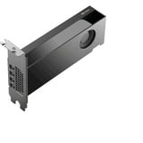 PNY NVIDIA RTX PRO 2000 Blackwell Generation 16 Go PB, Carte graphique 4x Mini DisplayPort 2.1, en vrac, En vrac