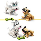 LEGO Créateur 3-en-1 - Chiens mignons, Jouets de construction 