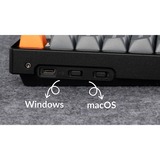 Keychron K8 Max-J4Z RGB clavier mécanique Noir, Layout BE (AZERTY), Keychron Super Banana, 80% (TKL), Hot-swappable, Bluetooth, 2.4GHz